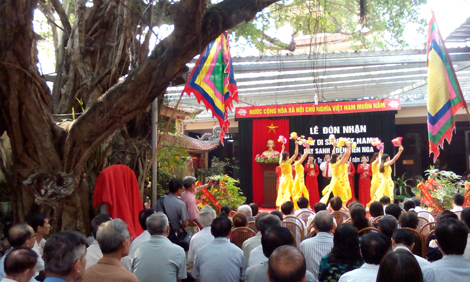 Hải Phòng thêm một cây cổ thụ được công nhận “Cây di sản Việt Nam”