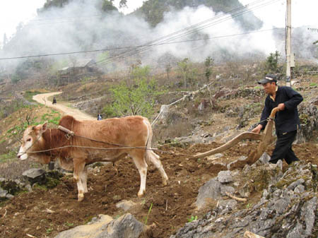 Hà Giang lập hồ sơ “cày trên đá” đề nghị UNESCO công nhận là di sản thế giới