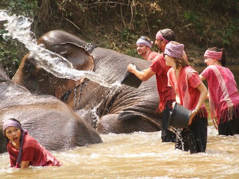 Đến Thái Lan khám phá Chiang Mai trong 48h