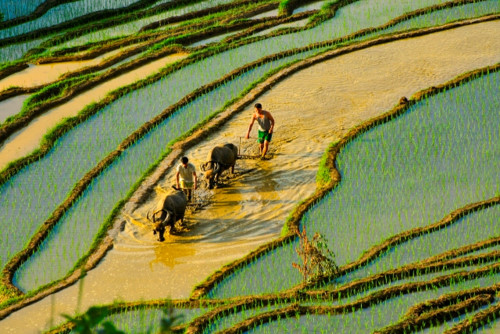 Chiêm ngưỡng Na Hang (Tuyên Quang) mùa nước đổ