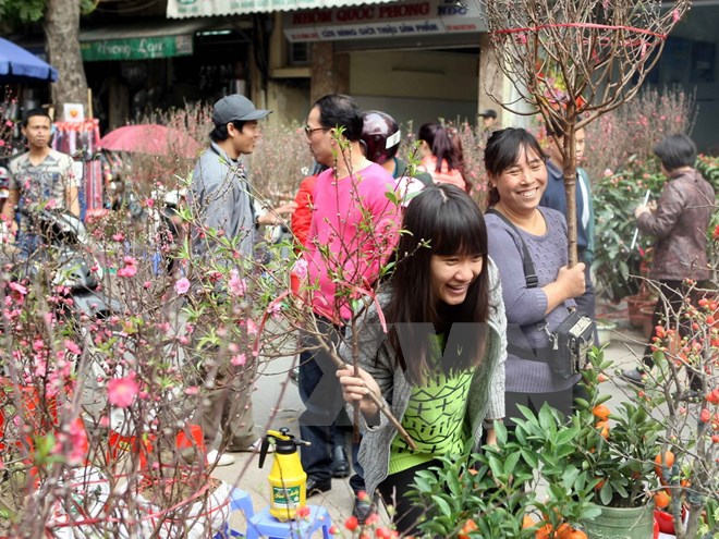 Hà Nội tổ chức 49 chợ hoa Xuân phục vụ Tết Nguyên đán Ất Mùi