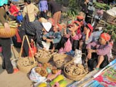 Chợ phiên Lộc Bình (Lạng Sơn): Điểm du lịch hấp dẫn