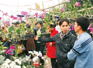 Lễ hội chợ Viềng huyện Vụ Bản (Nam Định) năm 2010