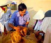 Thừa Thiên-Huế: Phát hiện hơn 200 mộ chum thời Sa Huỳnh