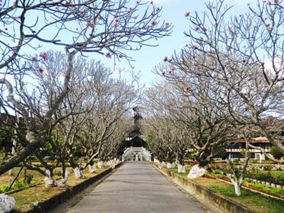 Chủng viện Thừa Sai (Kon Tum): Điểm đến lý tưởng