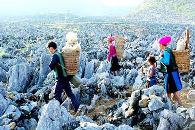 Cao nguyên đá Đồng Văn được công nhận là công viên địa chất toàn cầu