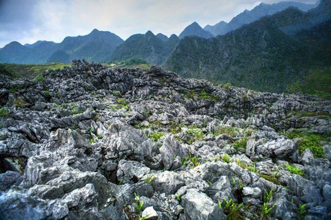 Cao nguyên đá Đồng Văn - bức tranh tuyệt đẹp nơi cực Bắc Tổ quốc