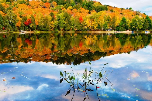 Khám phá công viên Algonquin - Canada