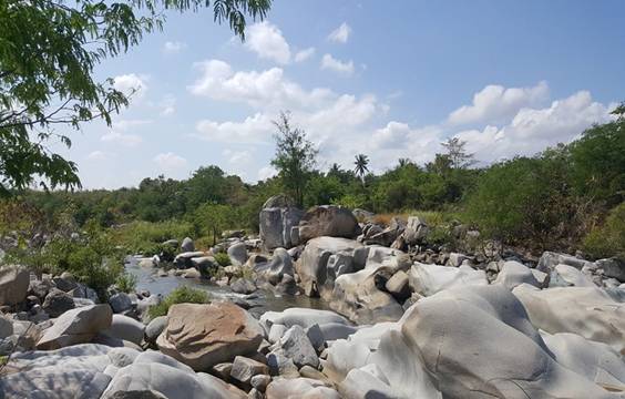 Khám phá vẻ đẹp Công viên đá Bạch Thạch ở Ninh Thuận