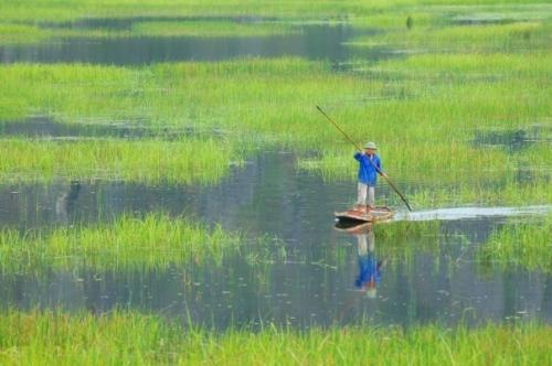 Đầm Vân Long (Ninh Bình) – Vẻ đẹp hoang dã và tiềm ẩn