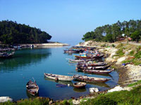 Thăm đảo yến ở Cù Lao Chàm (Quảng Nam)