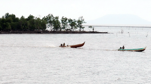 Vườn quốc gia Mũi Cà Mau được công nhận khu Ramsar của thế giới