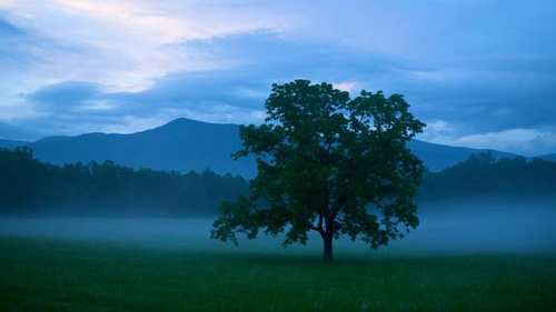 Tận hưởng vẻ đẹp hoang dại của dãy núi Great Smoky ở Mỹ