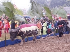 Tuyên Quang tưng bừng với lễ hội Lồng Tông