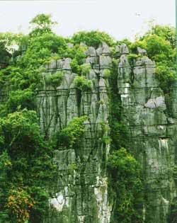 Du lịch địa chất – Hướng phát triển mới cho Di sản thiên nhiên thế giới Vườn Quốc gia Phong Nha – Kẻ Bàng