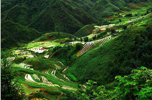 Tây Bắc được đánh giá “điểm du lịch ý nghĩa”