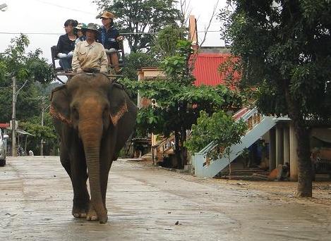 Du khách cưỡi voi tham quan