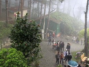 Du lịch Tam Đảo 