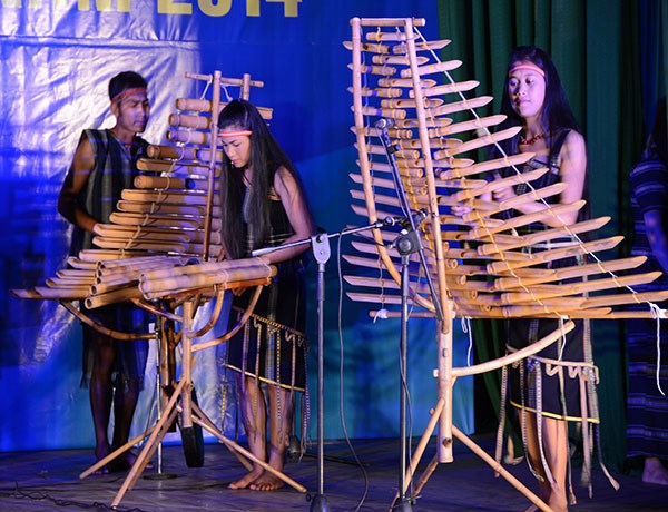 Lâm Đồng bế mạc Liên hoan độc tấu và hòa tấu nhạc cụ dân tộc 2014