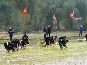 Lễ hội lồng tồng (Tuyên Quang) đón nhận di sản văn hóa phi vật thể quốc gia 