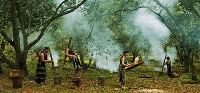 Thăm lại sóc BomBo, Bình Phước