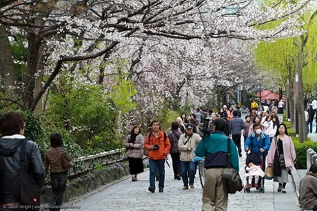 Xúc tiến quảng bá du lịch Tokyo tại Hà Nội