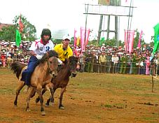 30 kỵ sĩ Phú Yên tham gia Festival Tây Sơn - Bình Định 2008