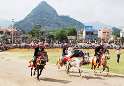 Lào Cai: Sôi động với lễ hội đua ngựa Bắc Hà