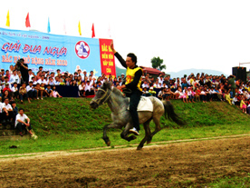 Nhiều bất ngờ tại giải đua ngựa Bắc Hà mở rộng năm 2009