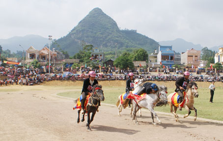 Hấp dẫn lễ hội đua ngựa Bắc Hà, Lào Cai