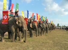 Lên Tây Nguyên tham dự lễ hội đua voi