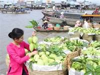 Tuần lễ du lịch xanh Đồng bằng sông Cửu Long 