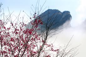 Núi Hàm Rồng điểm đến hấp dẫn khi du lịch Sapa