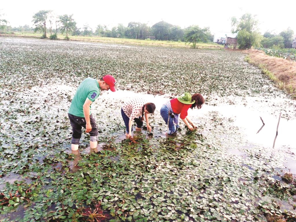 An Giang: Phát triển du lịch sinh thái 