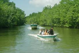 TP.Hồ Chí Minh đẩy mạnh phát triển du lịch sinh thái tại Cần Giờ