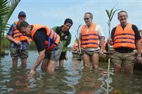 Quảng Nam: Du lịch kết hợp trồng dừa nước bảo vệ môi trường 