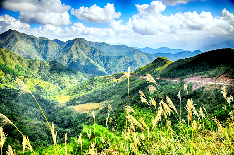 Thú vị du lịch 