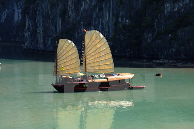 Khai thác dịch vụ du thuyền: Xu hướng mới của các công ty du lịch 