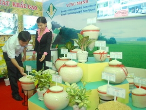 Một gian hàng tại Festival Lúa gạo Việt Nam lần thứ nhất. (Ảnh: Thanh Vũ/TTXVN)