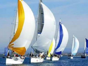 20 đội sẽ tham gia Festival thuyền buồm quốc tế ở Việt Nam