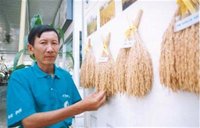 Festival lúa gạo Việt Nam năm 2009 sẽ được tổ chức tại tỉnh Hậu Giang