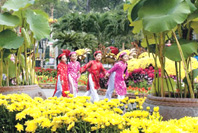 Ðường hoa Nguyễn Huệ đón Tết tại TP Hồ Chí Minh