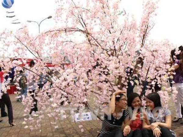 Đến hẹn lại lên, lễ hội hoa anh đào Nhật Bản tổ chức vào 8/3 tại Hà Nội