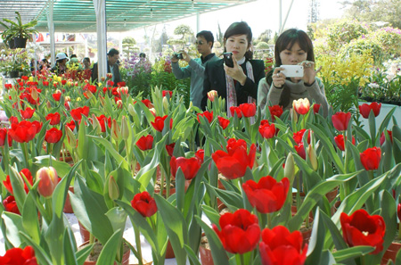 Lâm Đồng: Phát triển du lịch gắn với làng hoa và sản phẩm hoa Đà Lạt  
