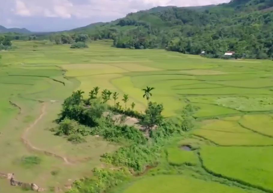 Khám phá ngôi làng cổ Hội An ở Tiên Châu (Quảng Nam)