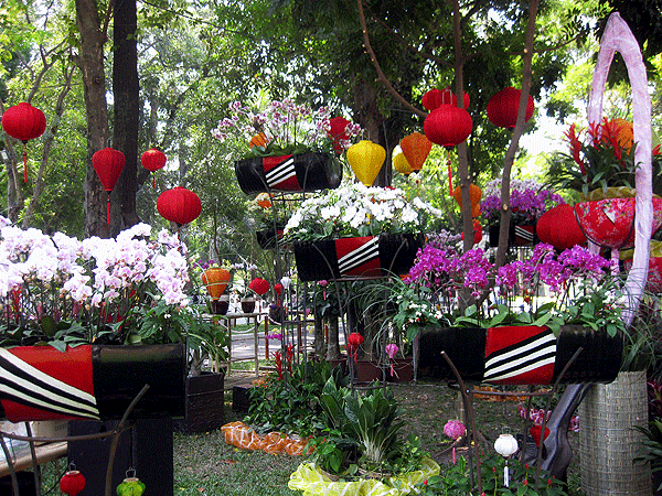 TP Hồ Chí Minh tổ chức Hội hoa Xuân và Chợ hoa Tết Tân Mão 2011