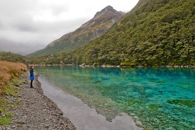 Blue Lake (New Zealand) - Hồ nước sạch nhất thế giới