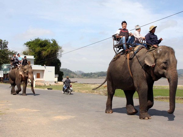 Tăng cường hợp tác phát triển du lịch giữa hai tỉnh Đắk Lắk và Khánh Hòa 