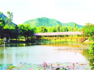 An Giang: Xây dựng kiên cố hồ Thủy Liêm bảo tồn đàn cá phóng sinh phục vụ du khách