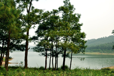 Hồ Yên Trung (Quảng Ninh) - Thơ mộng và bình yên